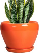 Ocean Blue Ceramic Planter