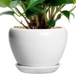 Ocean Blue Ceramic Planter