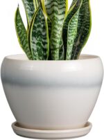 Ocean Blue Ceramic Planter