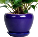 Ocean Blue Ceramic Planter