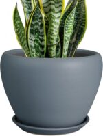 Ocean Blue Ceramic Planter