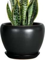 Ocean Blue Ceramic Planter