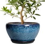 Ocean Blue Ceramic Planter