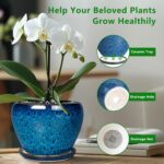 Ocean Blue Ceramic Planter