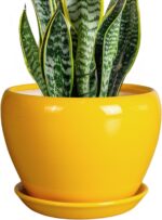 Ocean Blue Ceramic Planter