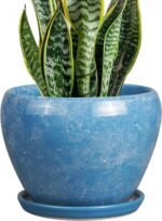 Ocean Blue Ceramic Planter