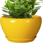 Ocean Blue Ceramic Planter