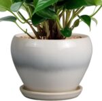 Ocean Blue Ceramic Planter