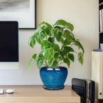 Ocean Blue Ceramic Planter