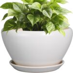 Ocean Blue Ceramic Planter