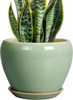 Ocean Blue Ceramic Planter