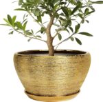 Ocean Blue Ceramic Planter