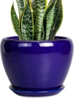 Ocean Blue Ceramic Planter