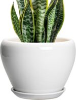 Ocean Blue Ceramic Planter
