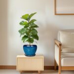 Ocean Blue Ceramic Planter