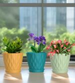 Wavy Design Plastic Planters