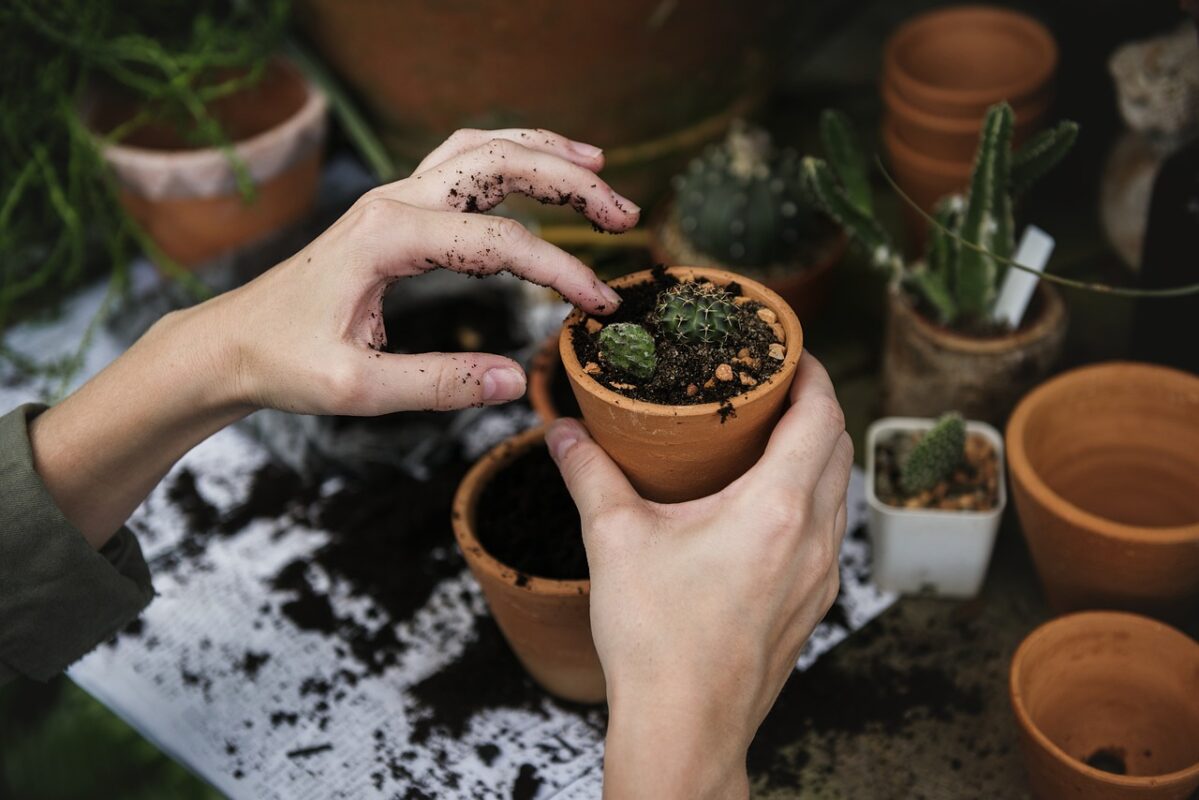 How to Care for and Clean Your Planters and Pots