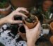 How to Care for and Clean Your Planters and Pots