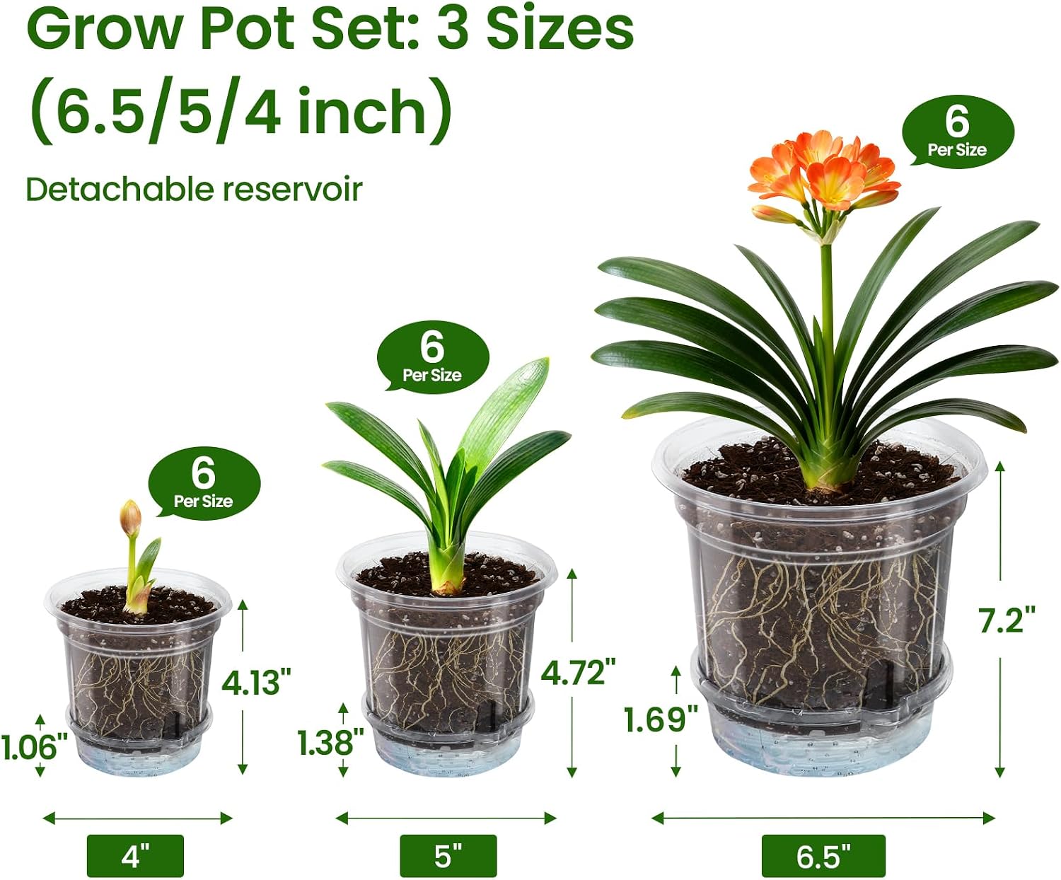 Clear Self-watering Planters