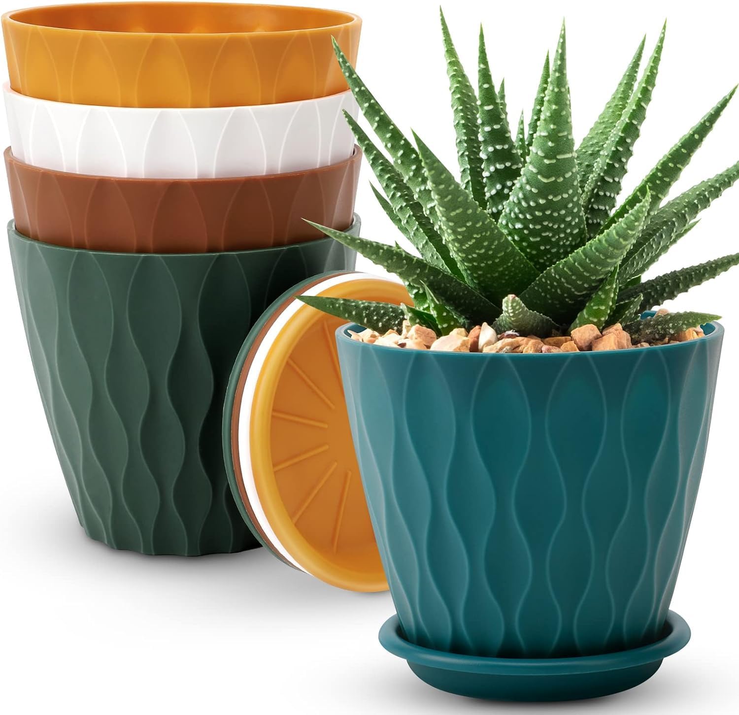 Textured 6-Inch Plastic Planters with Saucers
