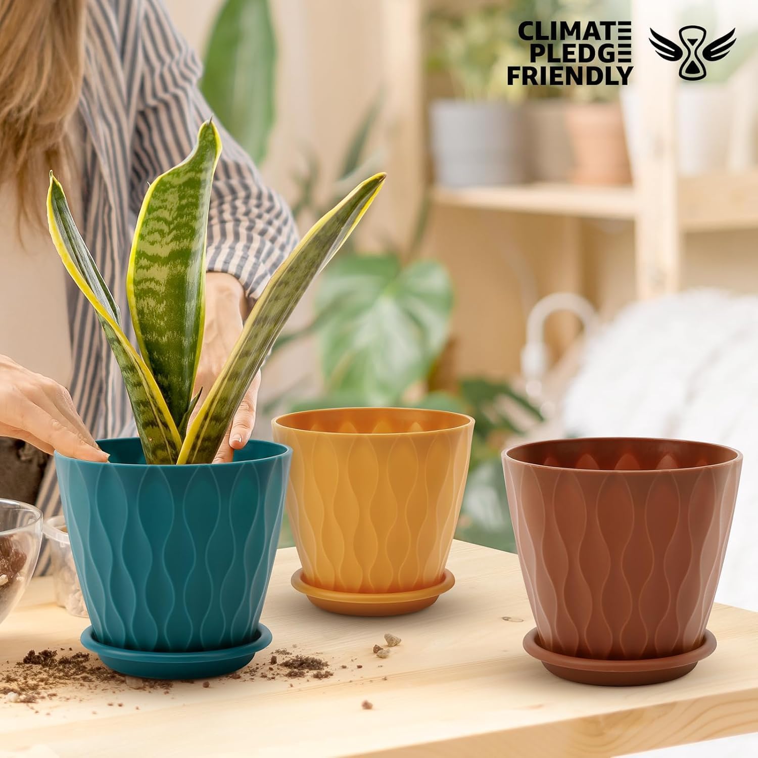 Textured 6-Inch Plastic Planters