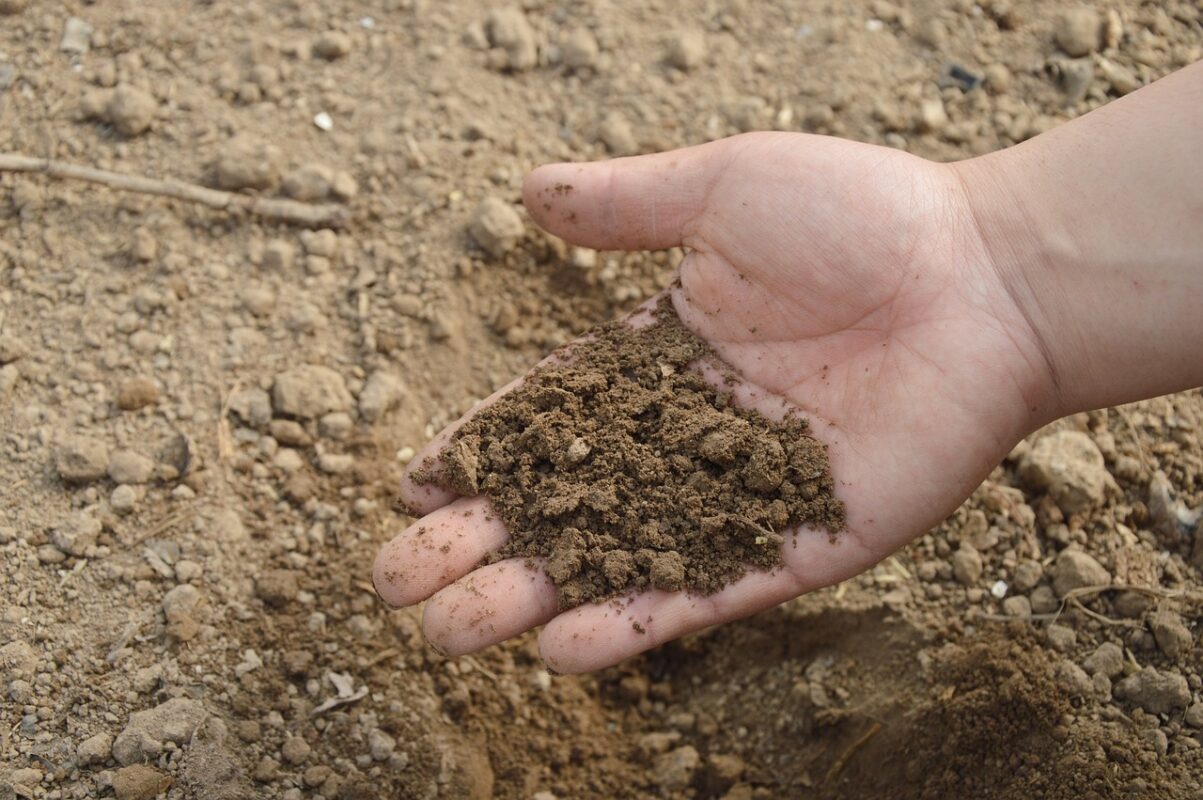 Home composting basics