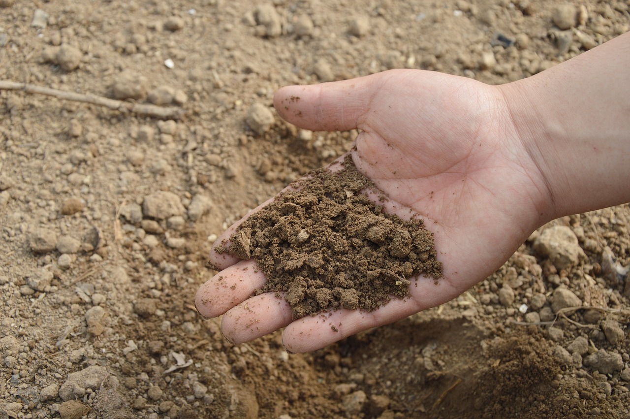 Home composting basics