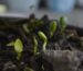 Fixing compost smell