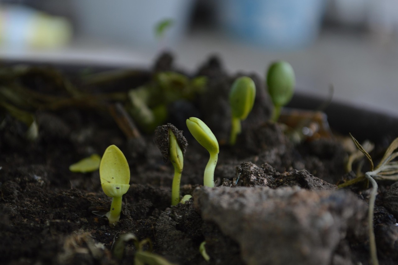 Fixing compost smell