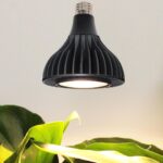 3000K E26 LED Grow Bulb