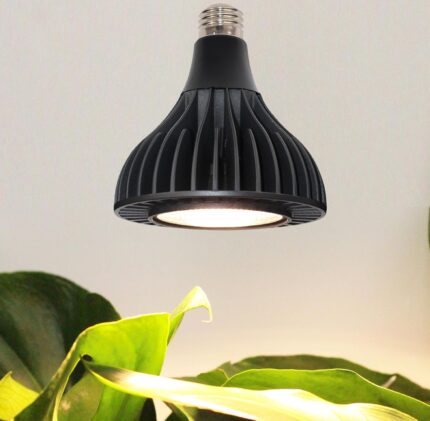3000K E26 LED Grow Bulb