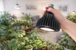 3000K E26 LED Grow Bulb - image 7