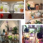 Adjustable Gooseneck Full Spectrum Plant Grow Light - image 7