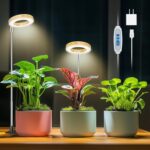 Full Spectrum LED Grow Lights with Timer - image 12