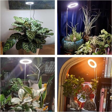 Full Spectrum LED Grow Lights with Timer - image 2
