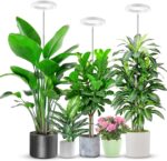 Full Spectrum LED Grow Lights with Timer - image 29