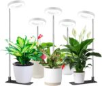 Full Spectrum LED Grow Lights with Timer - image 30