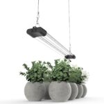 Suspended LED Grow Light Bar