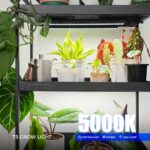 5000K Magnetic T5 LED Grow Light Bars - image 2
