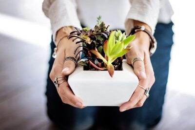 LED vs Other Grow Lights: Which Should You Choose?