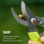 Casa Luxe Ledger Japanese Blade Pruning Shears Set - Hình 4