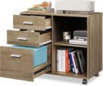 Rustic Mobile Office Cabinet