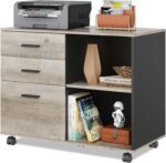 Rustic Mobile Office Cabinet