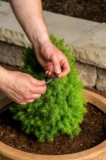 Drip Irrigation Repair Kit - image 7