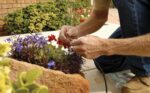 Drip Irrigation Repair Kit - image 8
