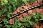 Drip Watering Kit - image 6