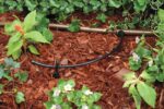 Drip Watering Kit - image 8