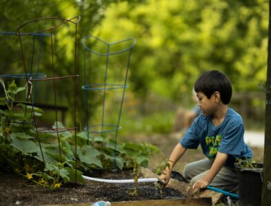 Drip Irrigation Mistakes to Avoid for a Thriving Garden