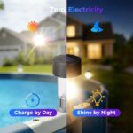 Solar Powered Pool Edge Lights – photo 3