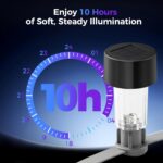 Solar Powered Pool Edge Lights – photo 4